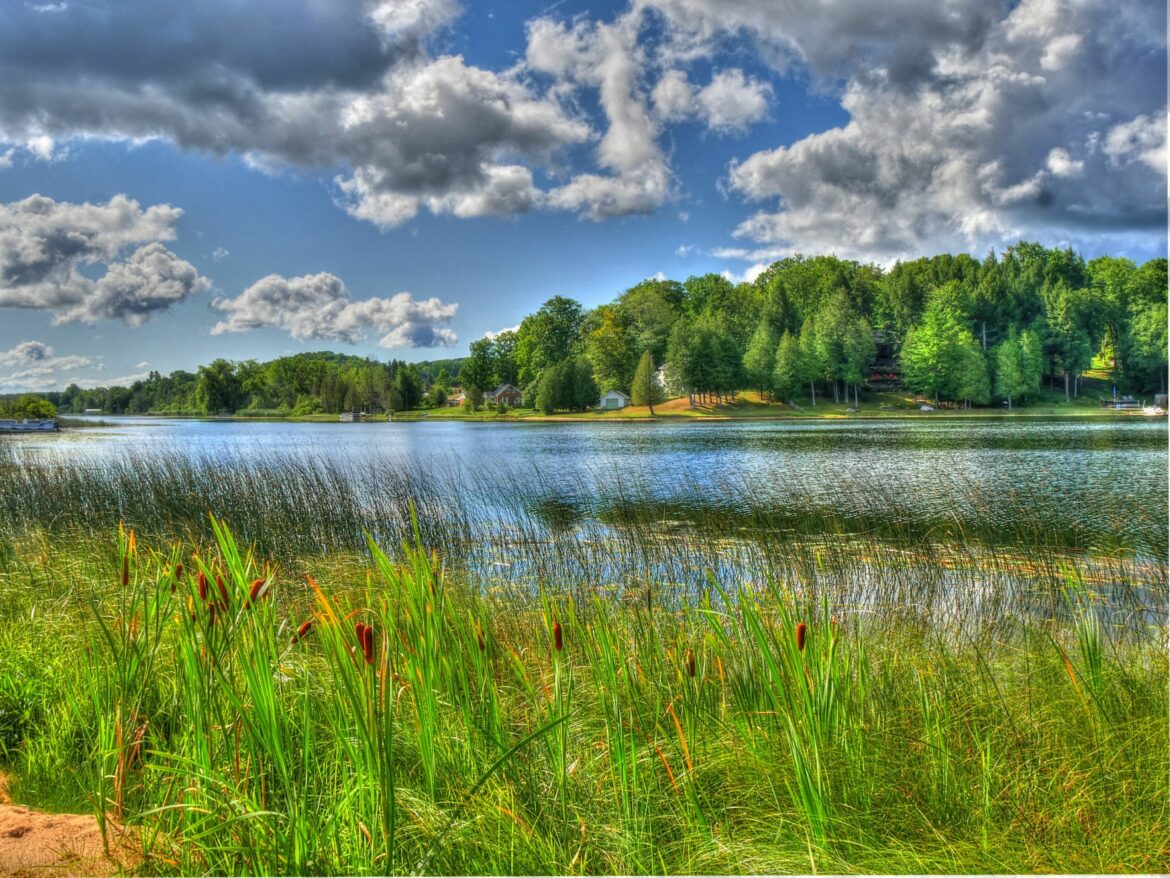 Lake, grass and clouds
