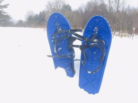 blue snowshoes stuck in snow